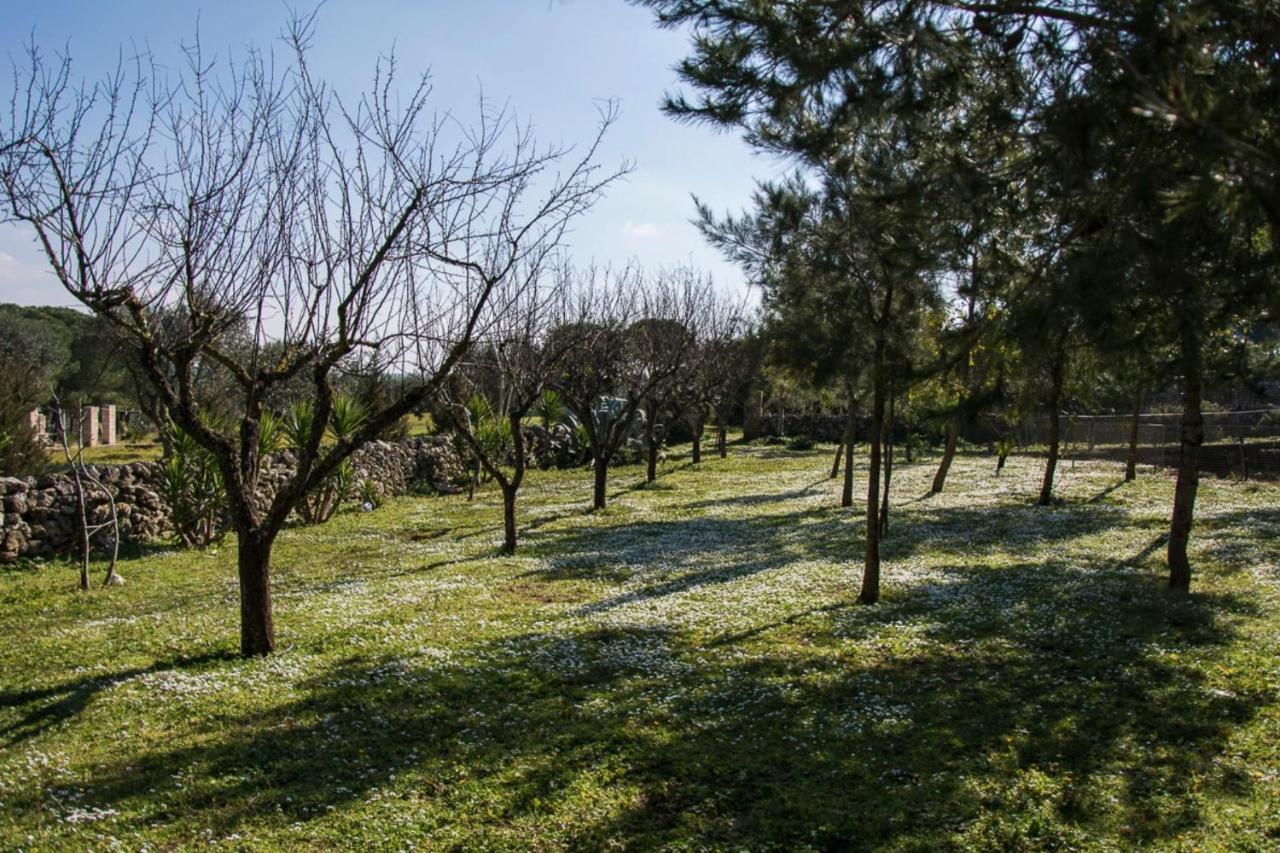 Maison d'hôtes Casale Sombrino à Supersano Extérieur photo